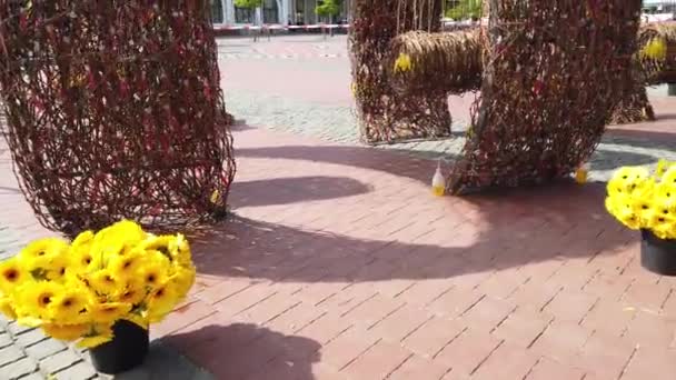 Timisoara Romania Aprile 2019 Piazza Della Vittoria Bellissime Decorazioni Floreali — Video Stock