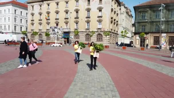 Τιμισοαρα Ρουμανια Απριλίου 2019 Πλατεία Νίκης Όμορφη Διακόσμηση Λουλουδιών Στο — Αρχείο Βίντεο