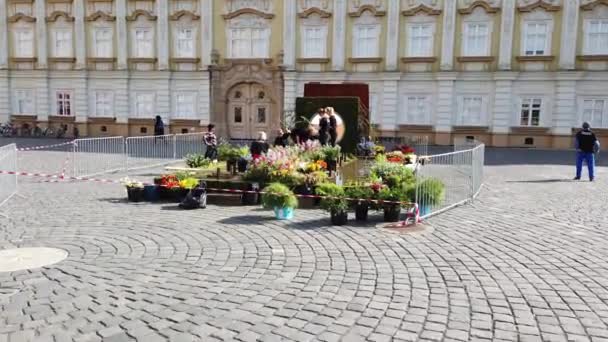 Timisoara Roemenië April 2019 Overwinningsplein Mooie Bloemdecoraties Het Internationale Bloemenfestival — Stockvideo