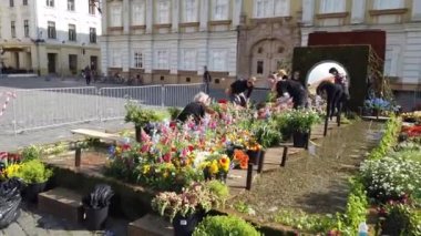 TIMISOARA, ROMANIA - 19 Nisan 2019: Zafer Meydanı, TIMFLORALIS Uluslararası Çiçek Festivali 'nde güzel çiçek süslemeleri.