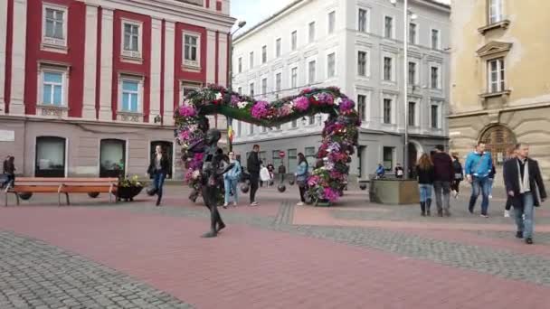 Timisoara Rumunia Kwietnia 2019 Plac Zwycięstwa Piękne Dekoracje Kwiatowe Międzynarodowym — Wideo stockowe