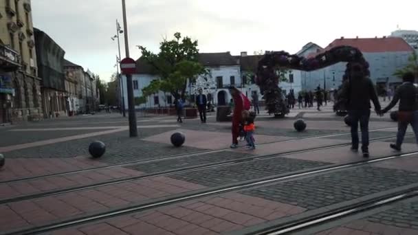 Timisoara Roemenië April 2019 Overwinningsplein Mooie Bloemdecoraties Het Internationale Bloemenfestival — Stockvideo