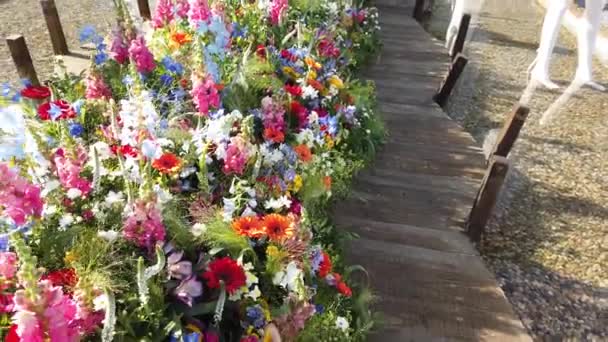 Όμορφη Διακόσμηση Λουλουδιών Στο Διεθνές Φεστιβάλ Λουλουδιών Τιμφλοραλησ Στην Τιμισοάρα — Αρχείο Βίντεο