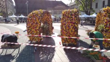 TIMISOARA, ROMANIA - 19 Nisan 2019: Zafer Meydanı, TIMFLORALIS Uluslararası Çiçek Festivali 'nde güzel çiçek süslemeleri.