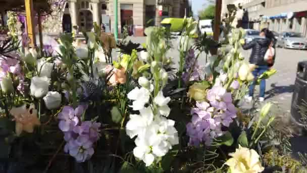 Timisoara Romania 2019年4月19日 勝利の広場 ティムフラリス国際フラワーフェスティバルで美しい花の装飾 — ストック動画