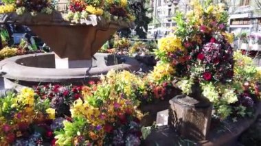 TIMISOARA, ROMANIA - 19 Nisan 2019: Zafer Meydanı, TIMFLORALIS Uluslararası Çiçek Festivali 'nde güzel çiçek süslemeleri.