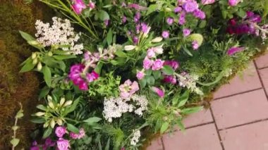 Timisoara, Romanya ve Avrupa 'daki TIMFLORALIS uluslararası çiçek festivalinde güzel çiçek süslemeleri