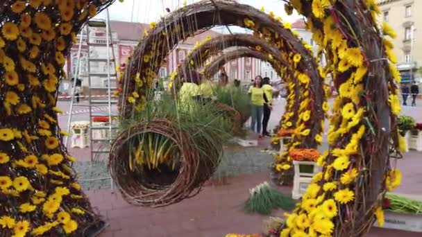 Timisoara Roménia Abril 2019 Praça Vitória Belas Decorações Flores Festival — Vídeo de Stock