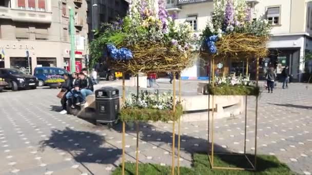 Timisoara Romania Aprile 2019 Piazza Della Vittoria Bellissime Decorazioni Floreali — Video Stock