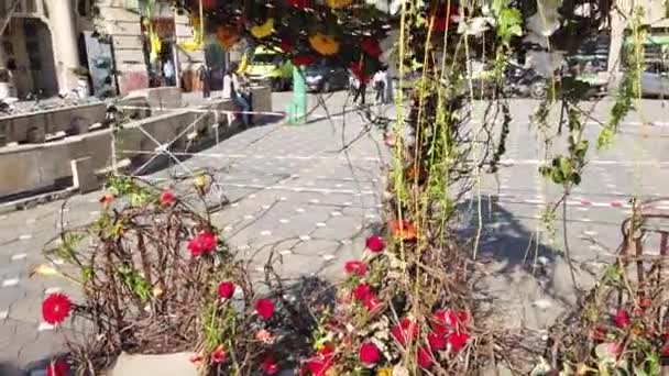 Timisoara Roemenië April 2019 Overwinningsplein Mooie Bloemdecoraties Het Internationale Bloemenfestival — Stockvideo