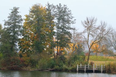 Tuna Nehri yakınlarındaki sonbahar manzarası, Almanya