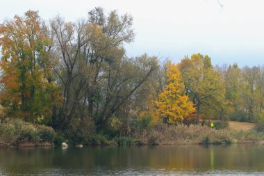 İnsanlar gün batımında Almanya 'nın Regensburg kentindeki Tuna Nehri boyunca kırsal bir yolda koşuyorlar..