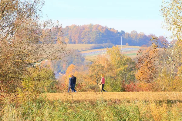 Regensburg Duitsland Oktober 2021 Wandelaars Het Platteland Bij Zonsondergang Langs — Stockfoto