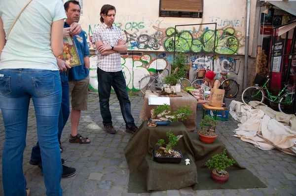 TIMISOARA, ROMANIA - 27 Nisan 2013: Şehir merkezinde düzenlenen serbest piyasa değişimine katılan insanlar