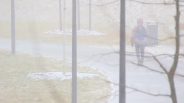 Tormenta Nieve Invierno Con Fuerte Viento Nevadas Ciudad Gente Caminando — Vídeos de Stock