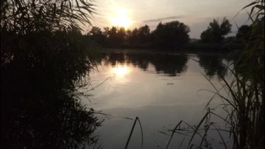 Günbatımında Almanya, Regensburg yakınlarındaki Tuna Nehri üzerinde yüzen vahşi ördekler