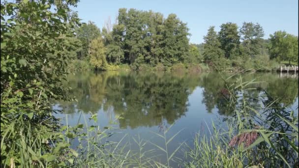 Paisaje Del Río Danubio Cerca Ratisbona Alemania — Vídeos de Stock