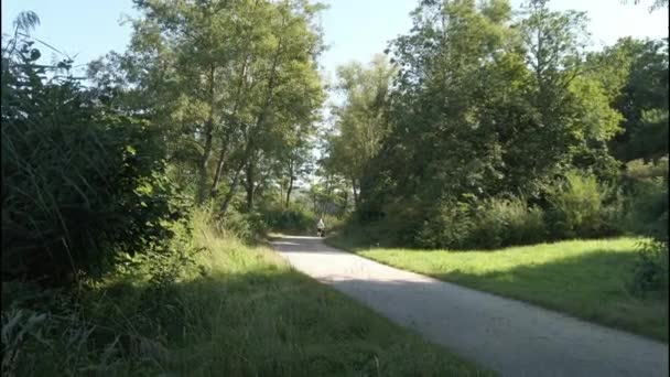 Kvinna Med Barnvagn Promenader Lantlig Väg — Stockvideo