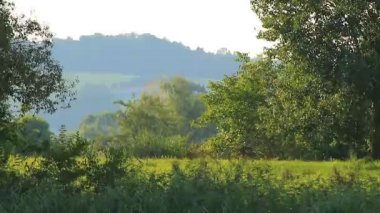 İnsanlar gün batımında Almanya, Regensburg ve Avrupa 'da Tuna nehri boyunca kırsal bir yolda bisiklet sürüyorlar..