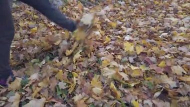 Sonbahar yaprakları üzerinde parkta yürüyorum.