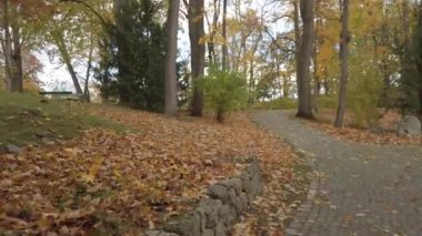 Regensburg, Almanya: Sonbahar parkındaki yol renkli ağaçlar ve yapraklarla dolu