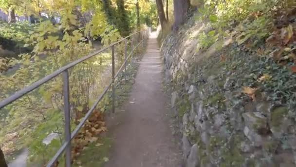 Regensburg Γερμανία Μονοπάτι Στο Πάρκο Του Φθινοπώρου Πολύχρωμα Δέντρα Και — Αρχείο Βίντεο