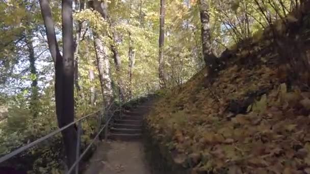 德国雷根斯堡 秋天公园的小径 长满五彩缤纷的树木和树叶 — 图库视频影像