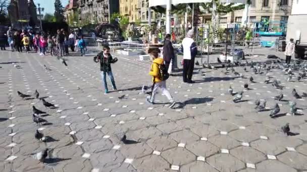 Timisoara Roménia Abril 2019 Crianças Brincam Com Pombos Centro Cidade — Vídeo de Stock