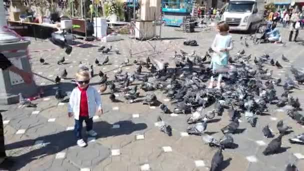 Timisoara Romania Nisan 2019 Çocuklar Şehir Merkezinde Güvercinlerle Oynuyorlar — Stok video