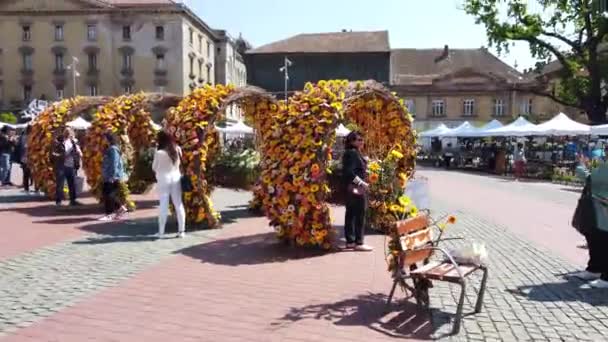 Timisoara Romania 2019年4月19日 Timisoaris国際フラワーフェスティバル 市内中心部では人々や観光客が花の装飾を楽しんでいます — ストック動画