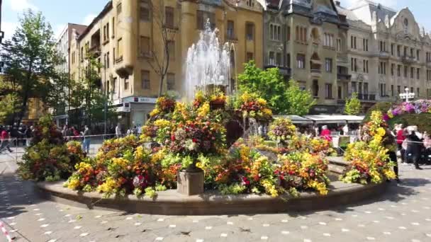 Timisoara Romania Abril 2019 Festival Internacional Flores Timfloralis Personas Turistas — Vídeo de stock
