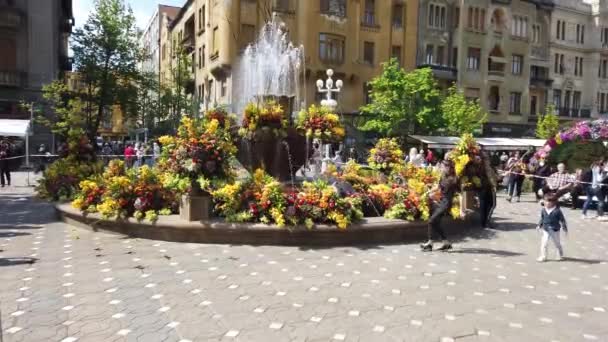 Timisoara Romania 2019年4月19日 Timisoaris国際フラワーフェスティバル 市内中心部では人々や観光客が花の装飾を楽しんでいます — ストック動画