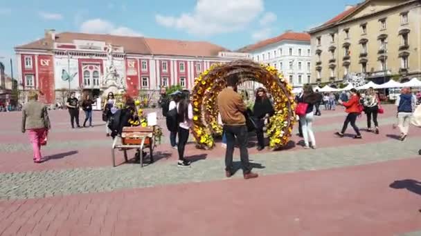 Timisoara Romania Abril 2019 Festival Internacional Flores Timfloralis Personas Turistas — Vídeos de Stock