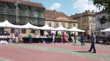 TIMISOARA, ROMANIA - 18 Nisan 2019: Özgürlük Meydanı, Uluslararası TiMFLORALIS çiçek festivali hazırlıkları