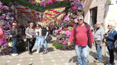 TIMISOARA, ROMANIA - 19 Nisan 2019: TIMFLORALIS Uluslararası Çiçek Festivali. İnsanlar ve turistler şehir merkezindeki çiçek süslerinin keyfini çıkarıyorlar.