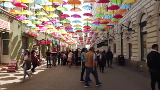 Timisoara Romania 2019 Timfloralis 중심가에서 사람들 관광객들 꽃꽂이를 즐기고 — 비디오