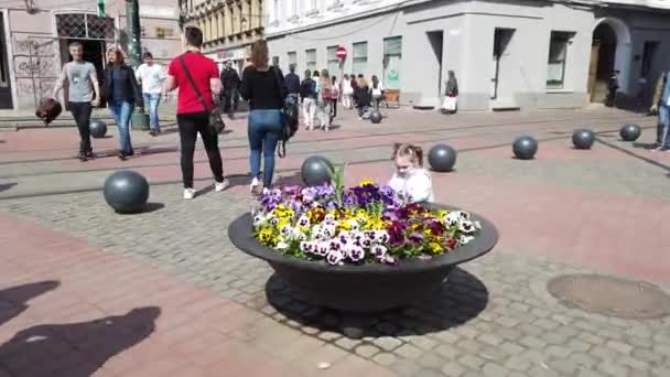 Timisoara Romania 2019 Timfloralis 중심가에서 사람들 관광객들 꽃꽂이를 즐기고 — 비디오