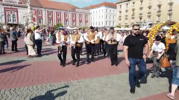 Timisoara Romania 2019年4月19日 Liberty Square Timflalis国際フラワーフェスティバル ティミソアラのビッグバンドというマーチングバンドが路上でライブをしています — ストック動画