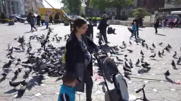 Timisoara Romania Квітня 2019 Діти Бавляться Голубами Центрі Міста — стокове відео