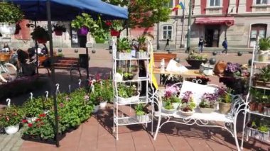 TIMISOARA, ROMANIA - 18 Nisan 2019: Özgürlük Meydanı, Uluslararası TiMFLORALIS çiçek festivali hazırlıkları