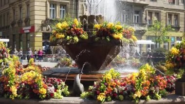 TIMISOARA, ROMANIA - 19 Nisan 2019: Zafer Meydanı, TIMFLORALIS uluslararası çiçek festivalinde çiçeklerle süslenmiş güzel bir çeşme. Yavaş çekim görüntüleri