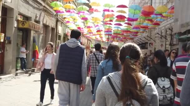 Timisoara Rumänien April 2019 Victory Square Timfloralis Internationella Blomsterfestival Människor — Stockvideo