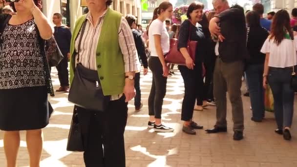 Timisoara Romania April 2019 Victory Square Timfloralis International Flower Festival — 비디오