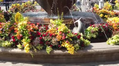 TIMISOARA, ROMANIA - 19 Nisan 2019: Zafer Meydanı, TIMFLORALIS uluslararası çiçek festivalinde çiçeklerle süslenmiş güzel bir çeşme. Yavaş çekim görüntüleri