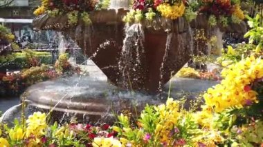 TIMISOARA, ROMANIA - 19 Nisan 2019: Zafer Meydanı, TIMFLORALIS uluslararası çiçek festivalinde çiçeklerle süslenmiş güzel bir çeşme. Yavaş çekim görüntüleri