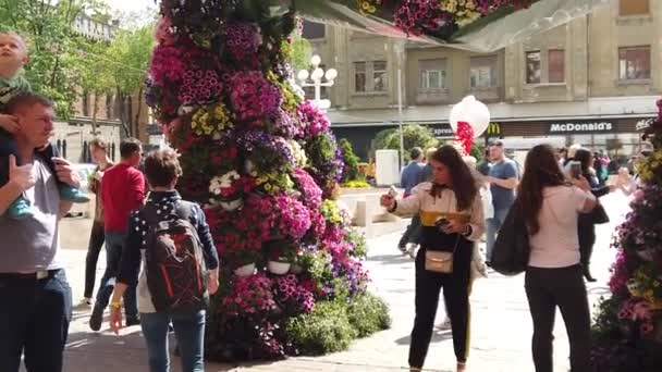 Timisoara Rumänien April 2019 Timfloralis Internationella Blomfestival Människor Och Turister — Stockvideo