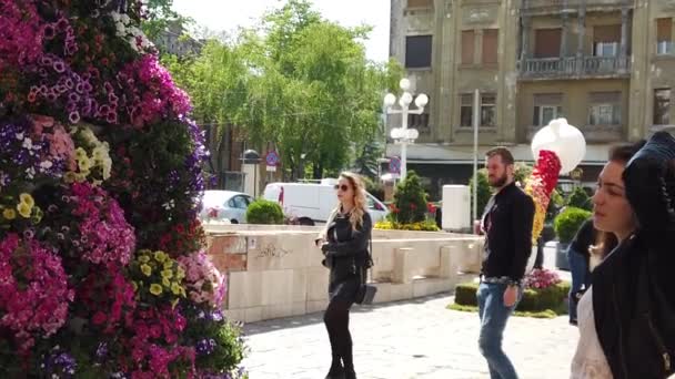 Timisoara Roménia Abril 2019 Timfloralis Festival Internacional Flores Pessoas Turistas — Vídeo de Stock