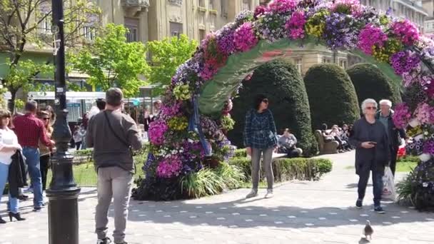 Timisoara Rumänien April 2019 Internationales Blumenfest Timfloralis Menschen Und Touristen — Stockvideo
