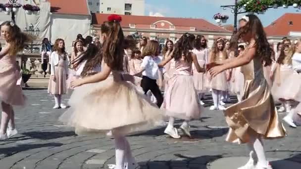 Timisoara Romania Nisan 2019 Union Square Timfloralis Uluslararası Çiçek Festivali — Stok video