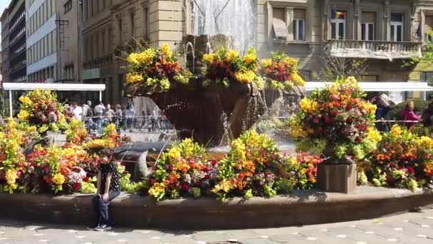 Timisoara Romania April 2019 Victory Square Beautiful Fountain Decorated Flowers — ストック動画